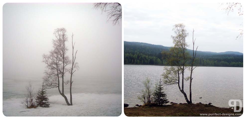 Winter/Spring Contrasts at Sognsvann, Oslo, Norway
