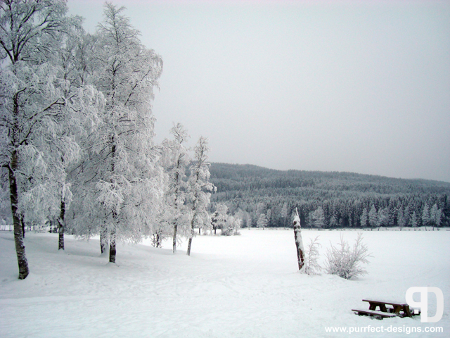 Winter at Sognsvann, Oslo, Norway