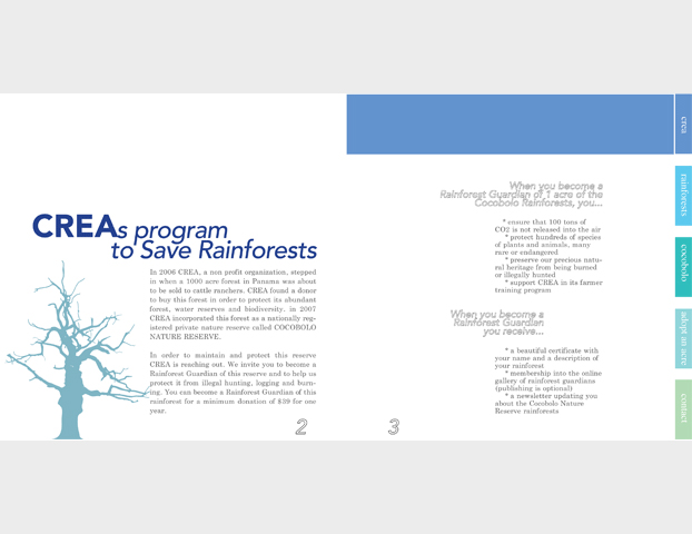 'Crea' brochure layout design II